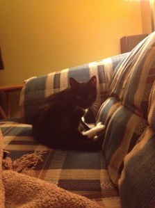 Planning her assault