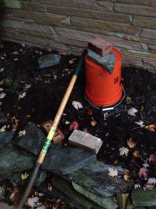 1383603_10201903001277327_34753428_n